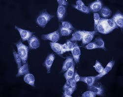 65d3764f9e05af001ec27d1c Dreamstime Xxl 23320779 65d3764f9e05af001ec27d1c Dreamstime Xxl 23320779