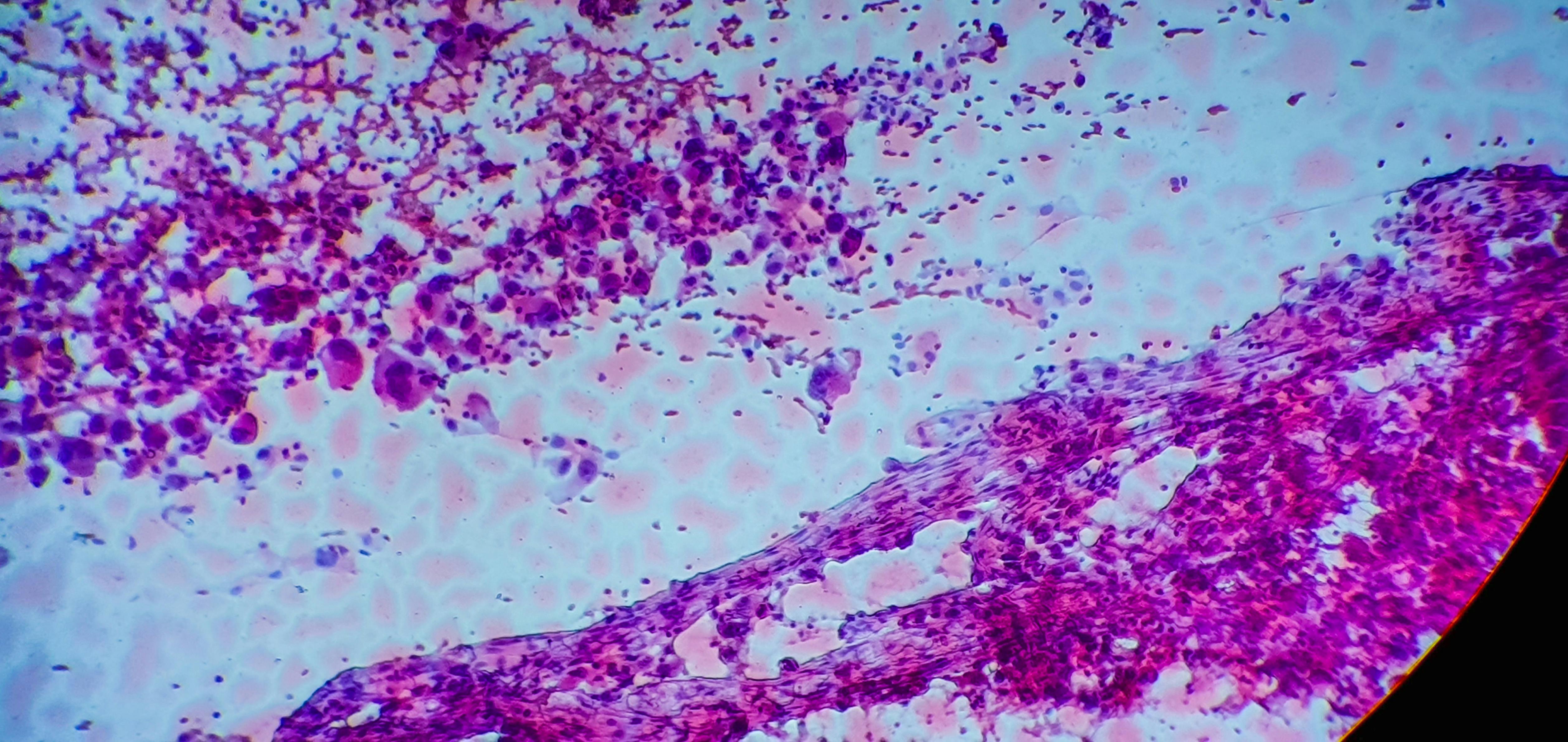 65d378fc033352001ec330a9 Dreamstime Xxl 181938781