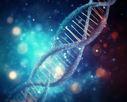 65d616f3bd9bd5001ea1987d Dreamstime Xxl 305592659 65d616f3bd9bd5001ea1987d Dreamstime Xxl 305592659