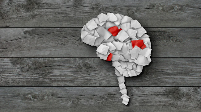 dreamstime_xxl_293000894_1