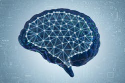 65de19d68d3b90001ee8c51d Dreamstime Xxl 122528050 2 65de19d68d3b90001ee8c51d Dreamstime Xxl 122528050 2