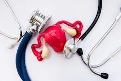 65de2fee2c9400001e42db71 Dreamstime Xxl 127602055 65de2fee2c9400001e42db71 Dreamstime Xxl 127602055