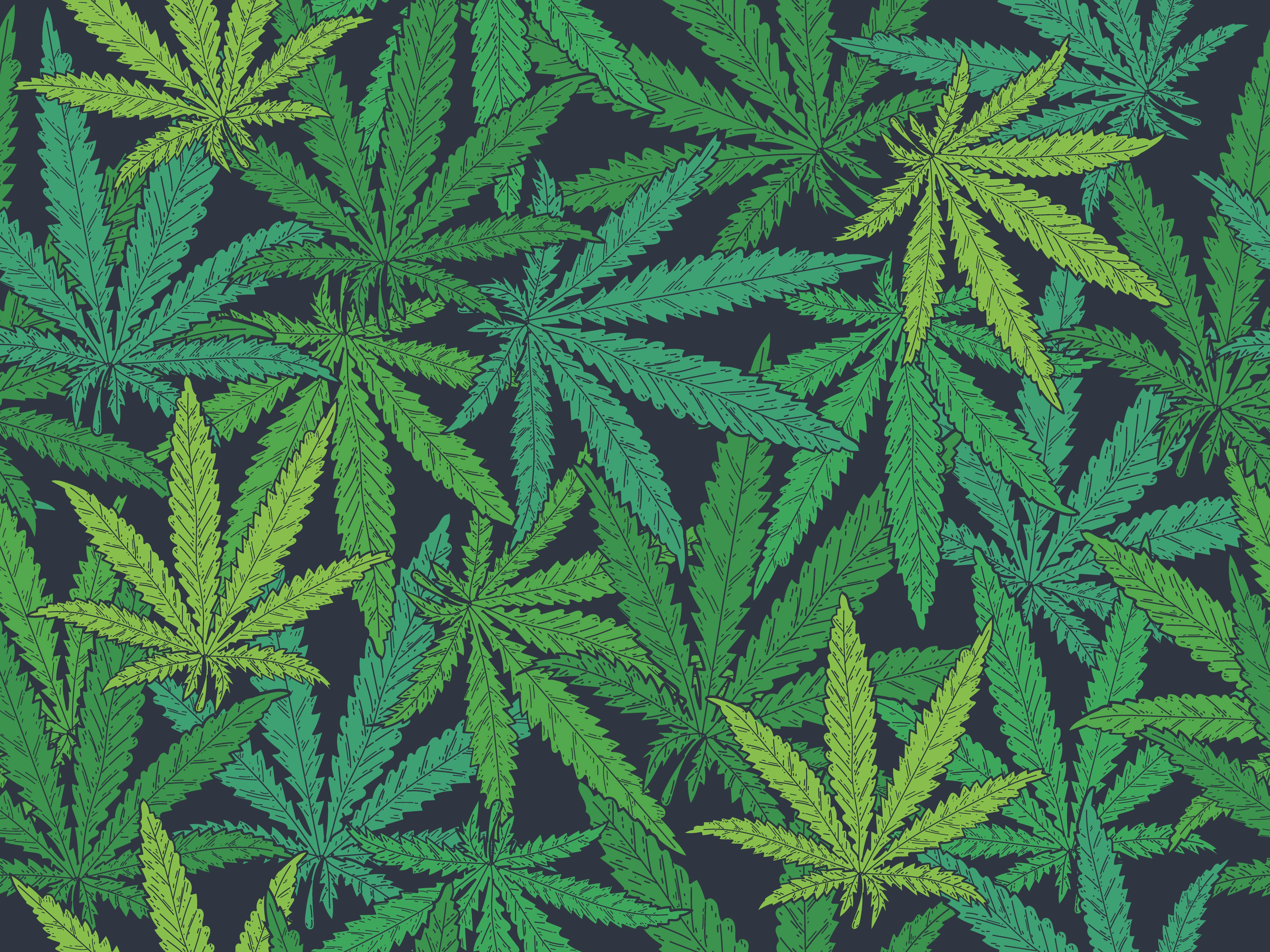 65e5f2e04d2f70001e822b9a Adobestock 427585564