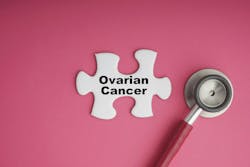 65eb825c2d22fc001efebfb6 Dreamstime Xxl 174184591 1 65eb825c2d22fc001efebfb6 Dreamstime Xxl 174184591 1