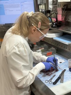 WDL Anatomic Pathology Technologist examining specimen.