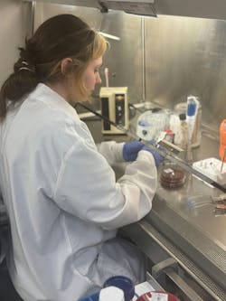 WDL Microbiology Lab Tech doing a Culture Swab. WDL Microbiology Lab Tech doing a Culture Swab.