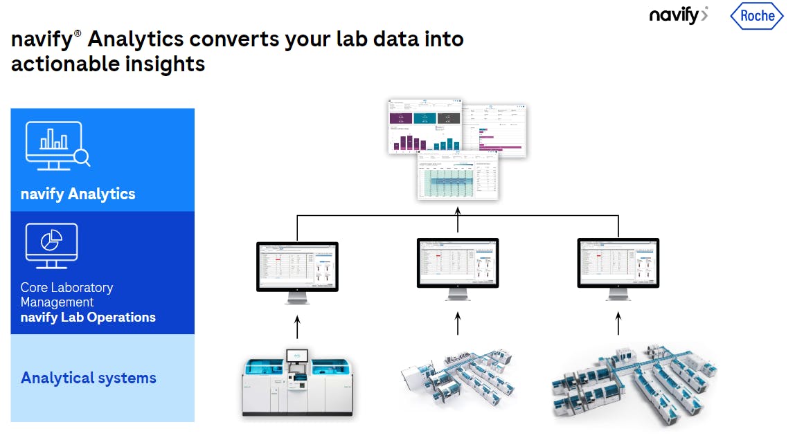 65f1cdab5ed51d001edef9a4 Rochenavifyimage1