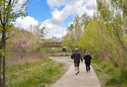 65f8556ff9d21f001e1be171 Dreamstime Xxl 152052699 65f8556ff9d21f001e1be171 Dreamstime Xxl 152052699