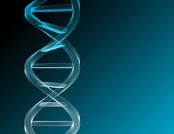 65f8586bef9984001ec5aad5 Dreamstime Xxl 1029221 65f8586bef9984001ec5aad5 Dreamstime Xxl 1029221