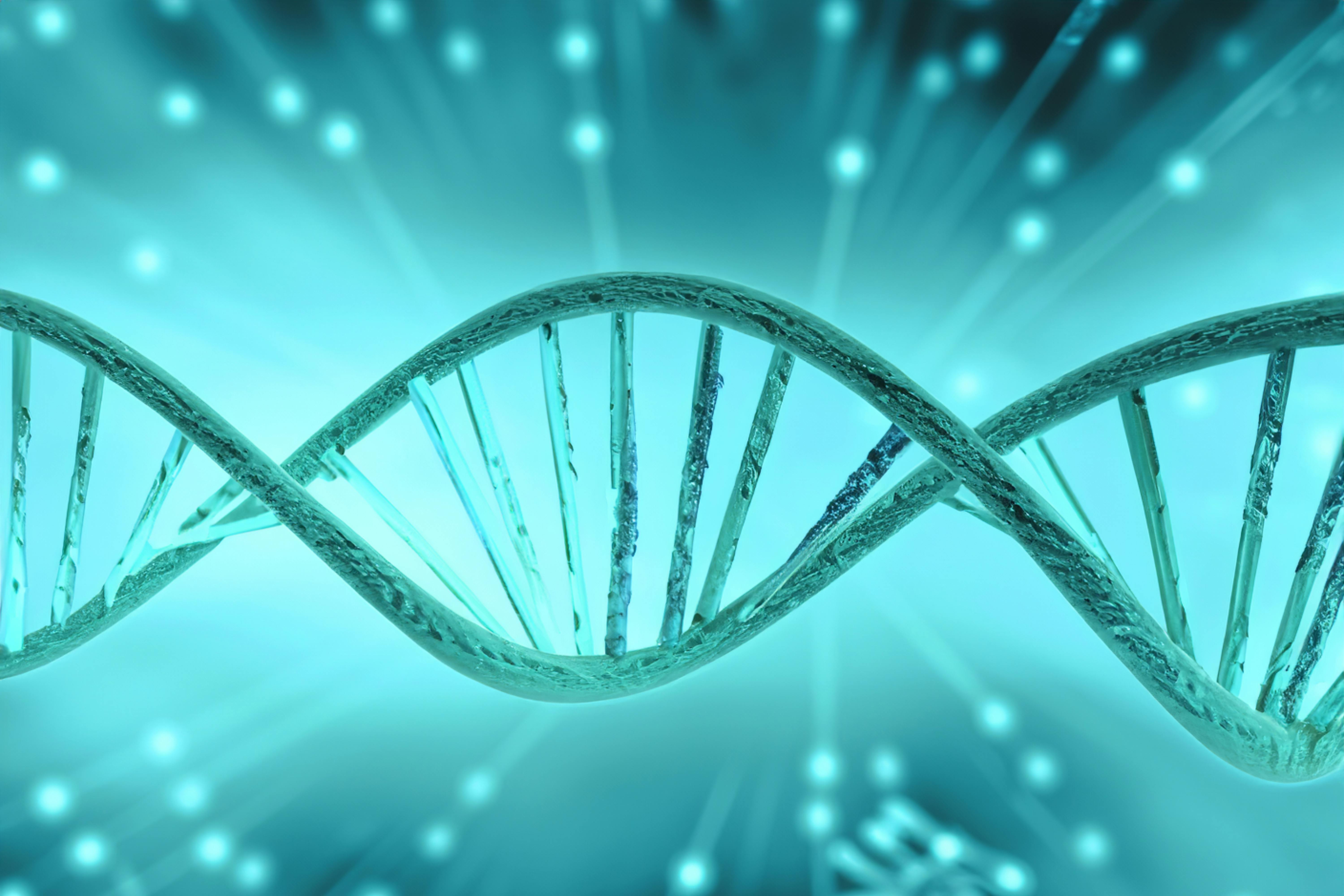 dreamstime_xxl_280731786