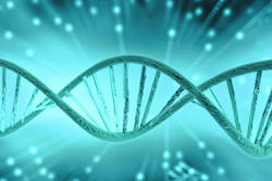 65fc45808ae52d001e0f11a9 Dreamstime Xxl 280731786 65fc45808ae52d001e0f11a9 Dreamstime Xxl 280731786