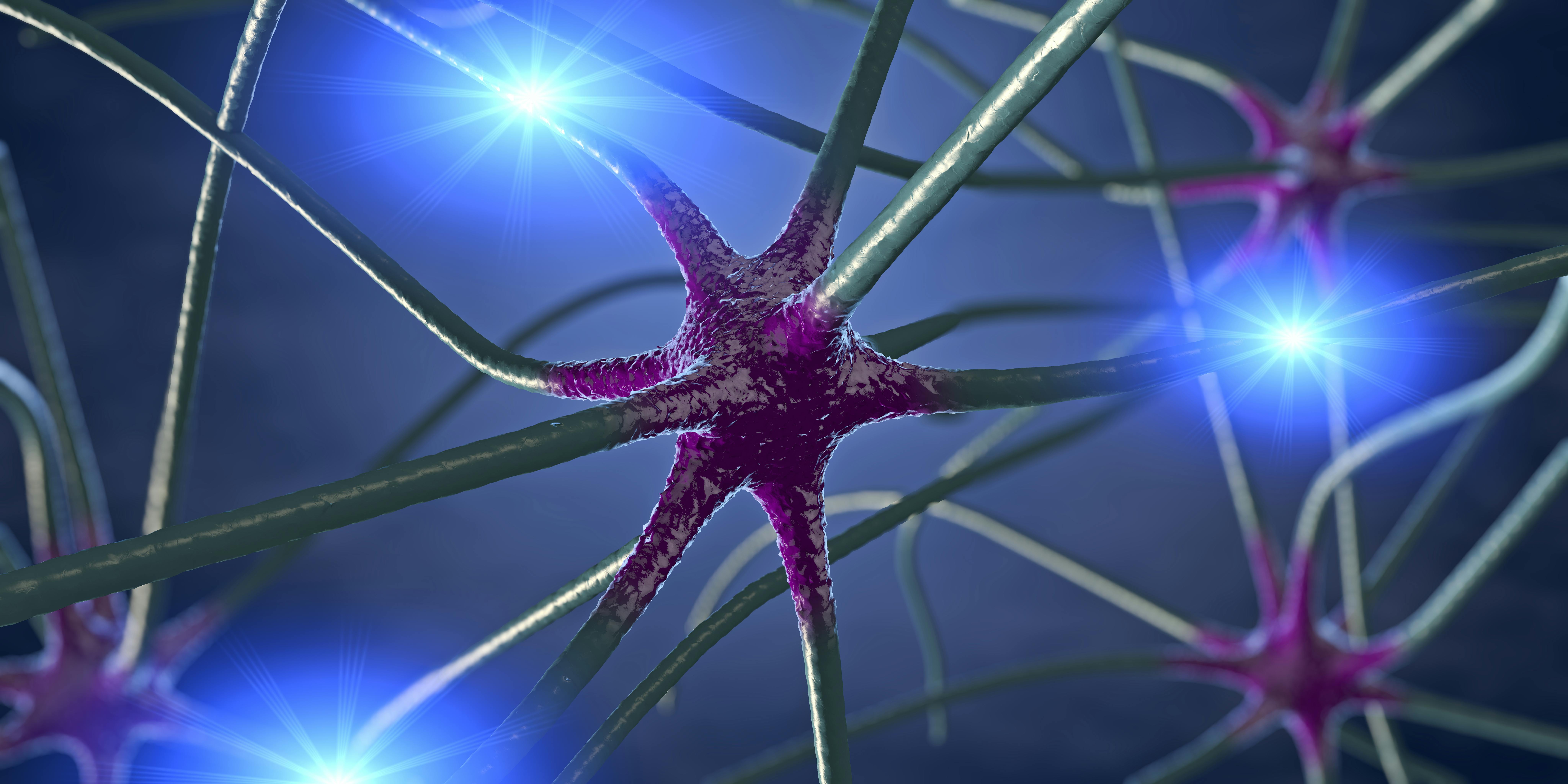 65fc4afb9c19d5001e4675ea Dreamstime Xxl 137398198