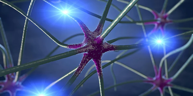 dreamstime_xxl_137398198