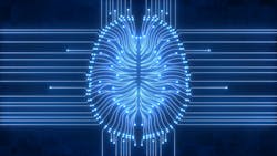 66057cbe52f38e001ee12a0c Dreamstime Xxl 218192069 66057cbe52f38e001ee12a0c Dreamstime Xxl 218192069