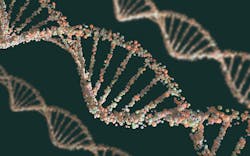 dreamstime_xxl_44896137 dreamstime_xxl_44896137