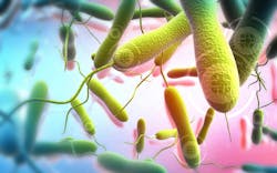 66100e9951cea7001efbe859 Dreamstime Xxl 47117779 66100e9951cea7001efbe859 Dreamstime Xxl 47117779