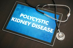 6610109c763184001e61b1b9 Dreamstime Xxl 89591888 6610109c763184001e61b1b9 Dreamstime Xxl 89591888