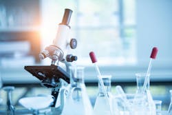 661e930f17fd71001e92179d Dreamstime Xxl 149835681 661e930f17fd71001e92179d Dreamstime Xxl 149835681