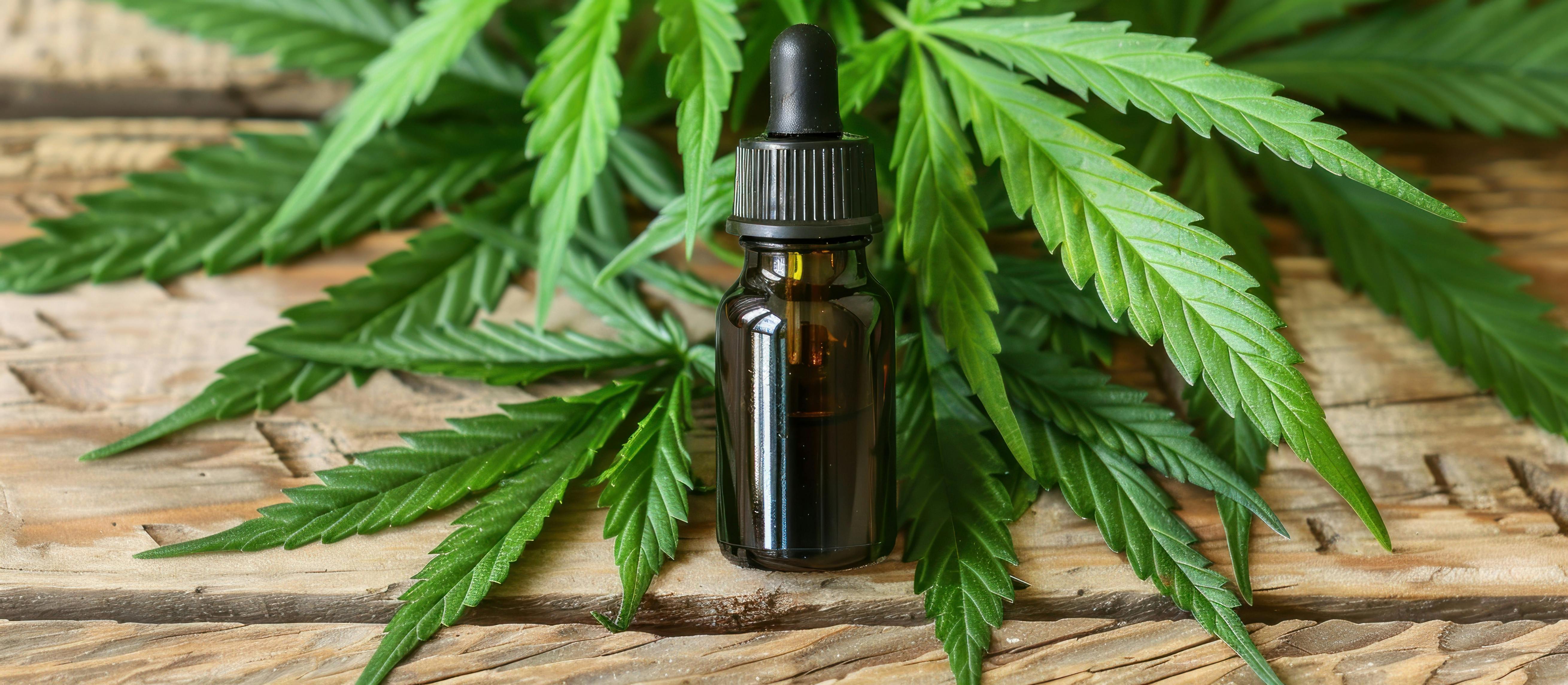 6622790a29590f001f801925 Dreamstime Xxl 312181735