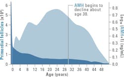 Figure 3. The number of primordial follicles and concentration of AMH over the lifetime of a female. Adapted from Xu, et al. The Innovation 2. 2021 Feb 28:100091. Figure 3. The number of primordial follicles and concentration of AMH over the lifetime of a female. Adapted from Xu, et al. The Innovation 2. 2021 Feb 28:100091.