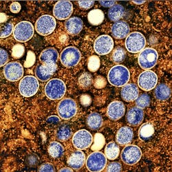 662682921496dc001ef5f5f2 26504 662682921496dc001ef5f5f2 26504