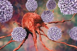 662696d93f3355001f5f83d2 Dreamstime Xxl 125858701 662696d93f3355001f5f83d2 Dreamstime Xxl 125858701