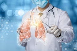 6626abbb3f3355001f5f8afd Dreamstime Xxl 171358238 6626abbb3f3355001f5f8afd Dreamstime Xxl 171358238