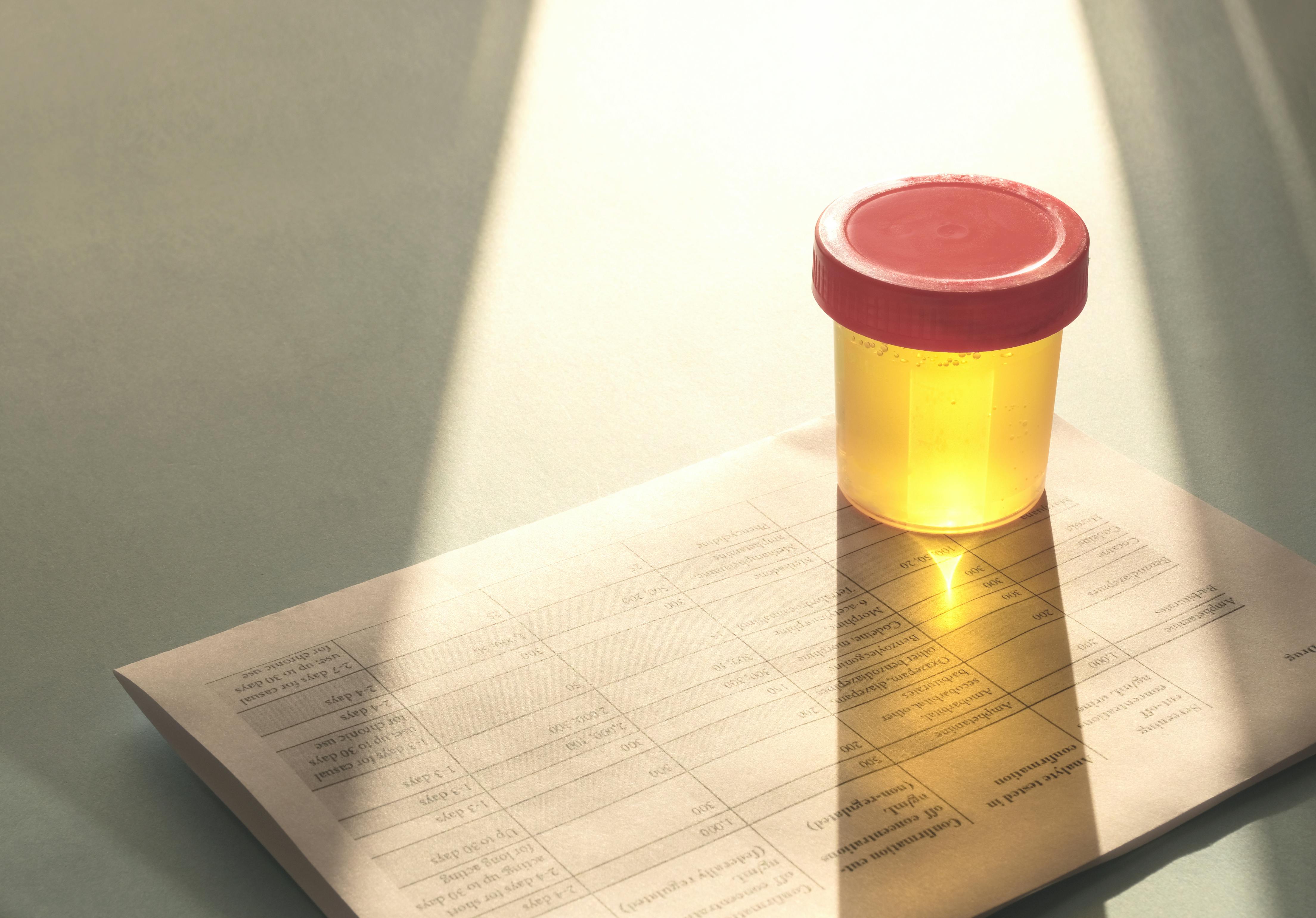 6626b8d1b4d2d9001e4bc97a Dreamstime Xxl 176461619