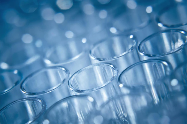 dreamstime_xxl_59831676