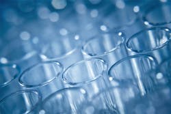 663a3f19d1bd8e1b6c60eec4 Dreamstime Xxl 59831676 663a3f19d1bd8e1b6c60eec4 Dreamstime Xxl 59831676