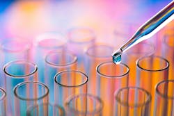 6642325af6b46e2616a4e9b0 Dreamstime Xxl 111134338 6642325af6b46e2616a4e9b0 Dreamstime Xxl 111134338