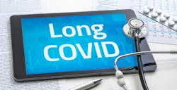 6644c8419951180c04c5b6fc Dreamstime Xxl 238995656 1 6644c8419951180c04c5b6fc Dreamstime Xxl 238995656 1