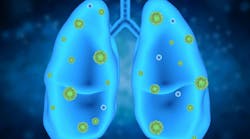 dreamstime_xxl_80935730 dreamstime_xxl_80935730