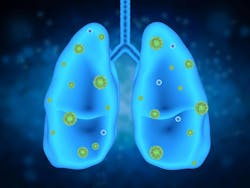 664b63b5e08d82778536c3da Dreamstime Xxl 80935730 664b63b5e08d82778536c3da Dreamstime Xxl 80935730