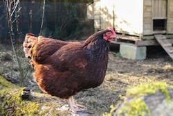 66509c88d7e796213ecace46 Dreamstime Xxl 69931274 66509c88d7e796213ecace46 Dreamstime Xxl 69931274