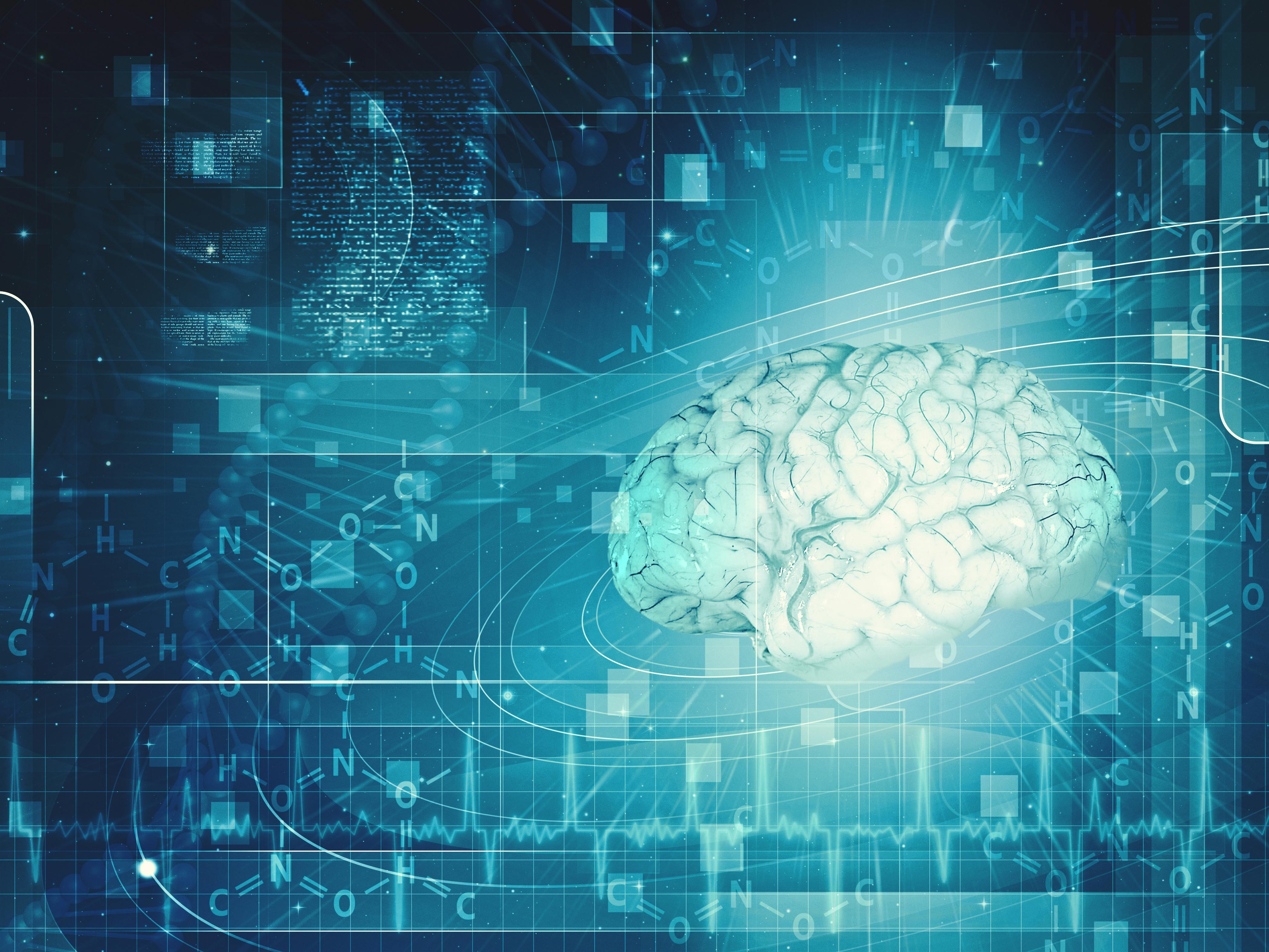 6655ead367752d84c3082fc2 Dreamstime Xxl 35161267 1