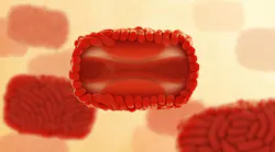 Courtesy of the CDC