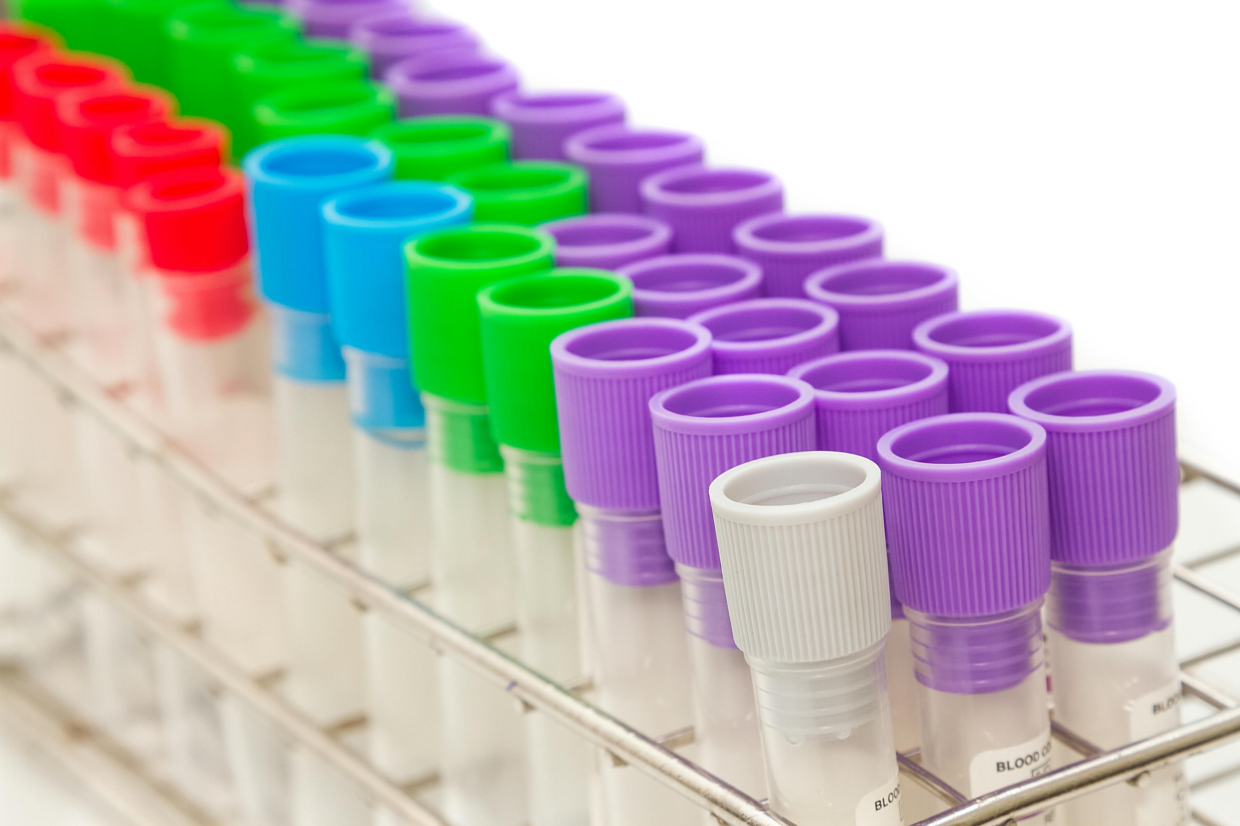 6661c53a9e57a8808b09df3d Dreamstime Xxl 55304069