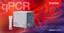 pg2810pjt11513col121906ep2npiqsyprobebannersetglob pg2810pjt11513col121906ep2npiqsyprobebannersetglob