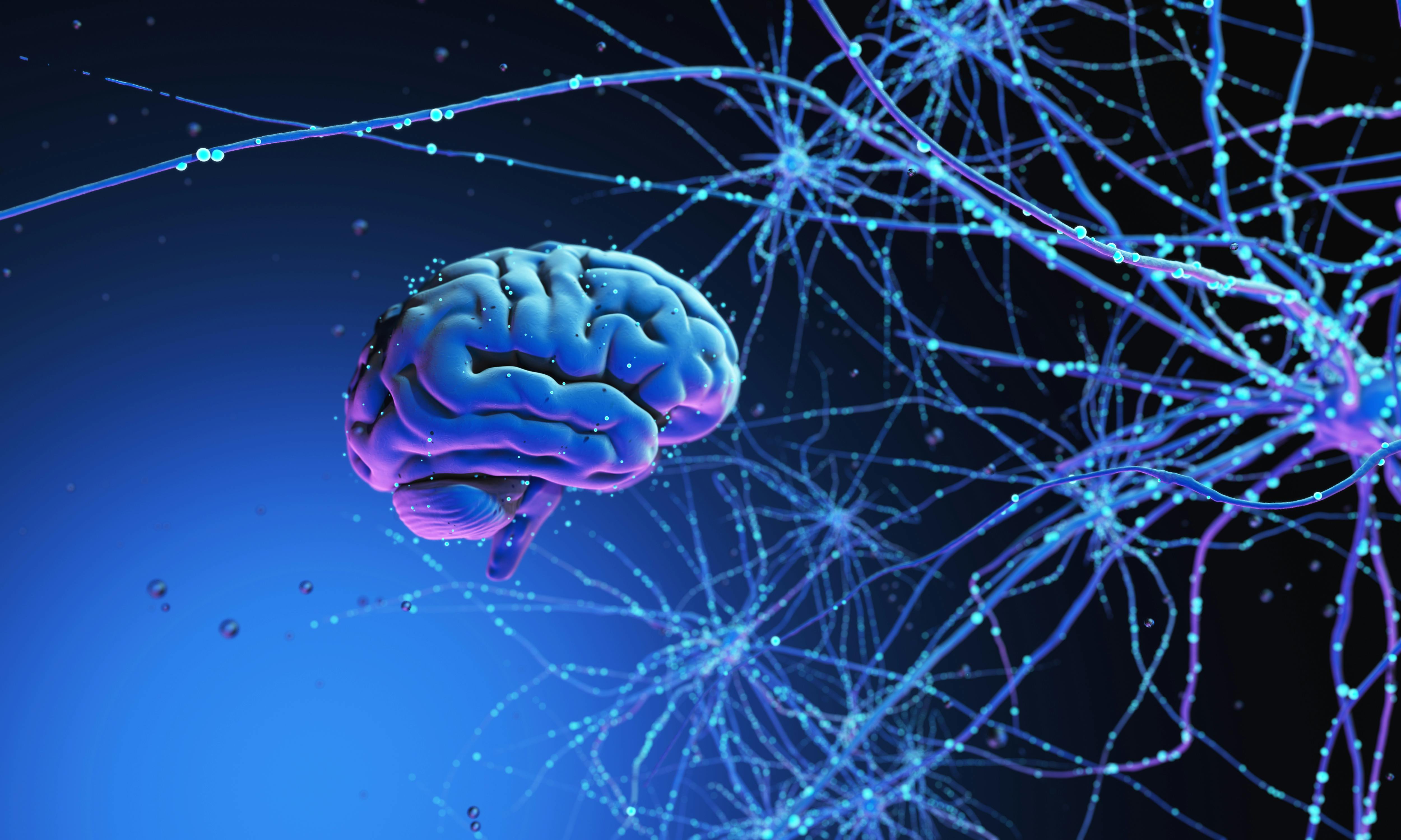 666b064140fb603e2a249594 Dreamstime Xxl 119821073