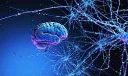 666b064140fb603e2a249594 Dreamstime Xxl 119821073 666b064140fb603e2a249594 Dreamstime Xxl 119821073