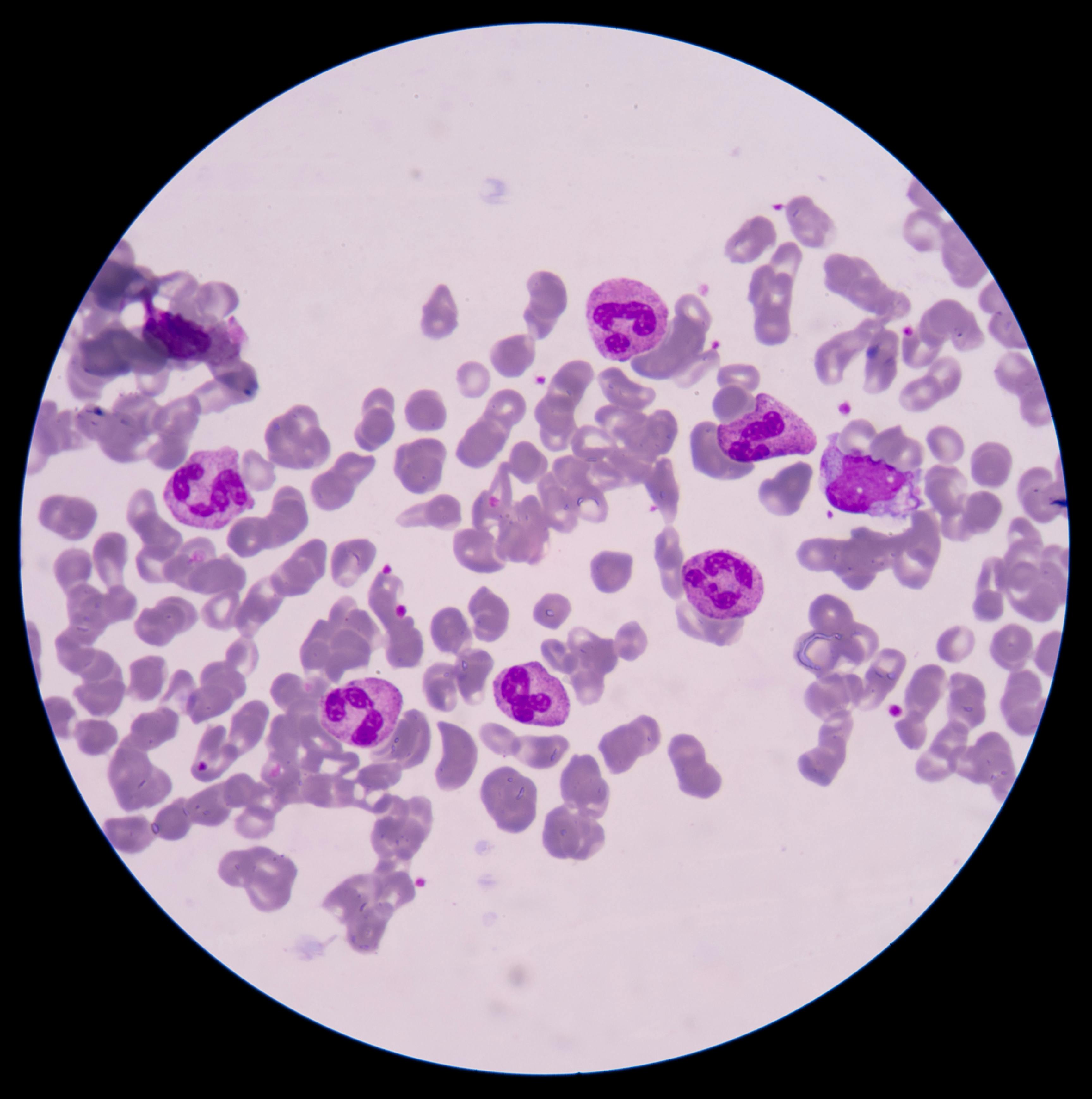 666b09bc02b3e91488ef3e32 Dreamstime Xxl 65642300