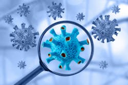 66855ce7263c101d198d3164 Dreamstime Xxl 177655691 66855ce7263c101d198d3164 Dreamstime Xxl 177655691