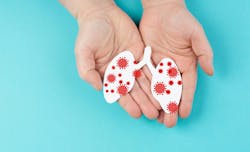 668beb1b478090a6a600a49d Dreamstime Xxl 263371033 668beb1b478090a6a600a49d Dreamstime Xxl 263371033