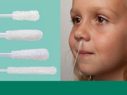 puritanhydraflock_400x300_mlo_070824 puritanhydraflock_400x300_mlo_070824