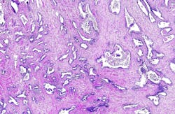 669134ea7dd2b625a81de6f9 Dreamstime Xxl 66313424 669134ea7dd2b625a81de6f9 Dreamstime Xxl 66313424