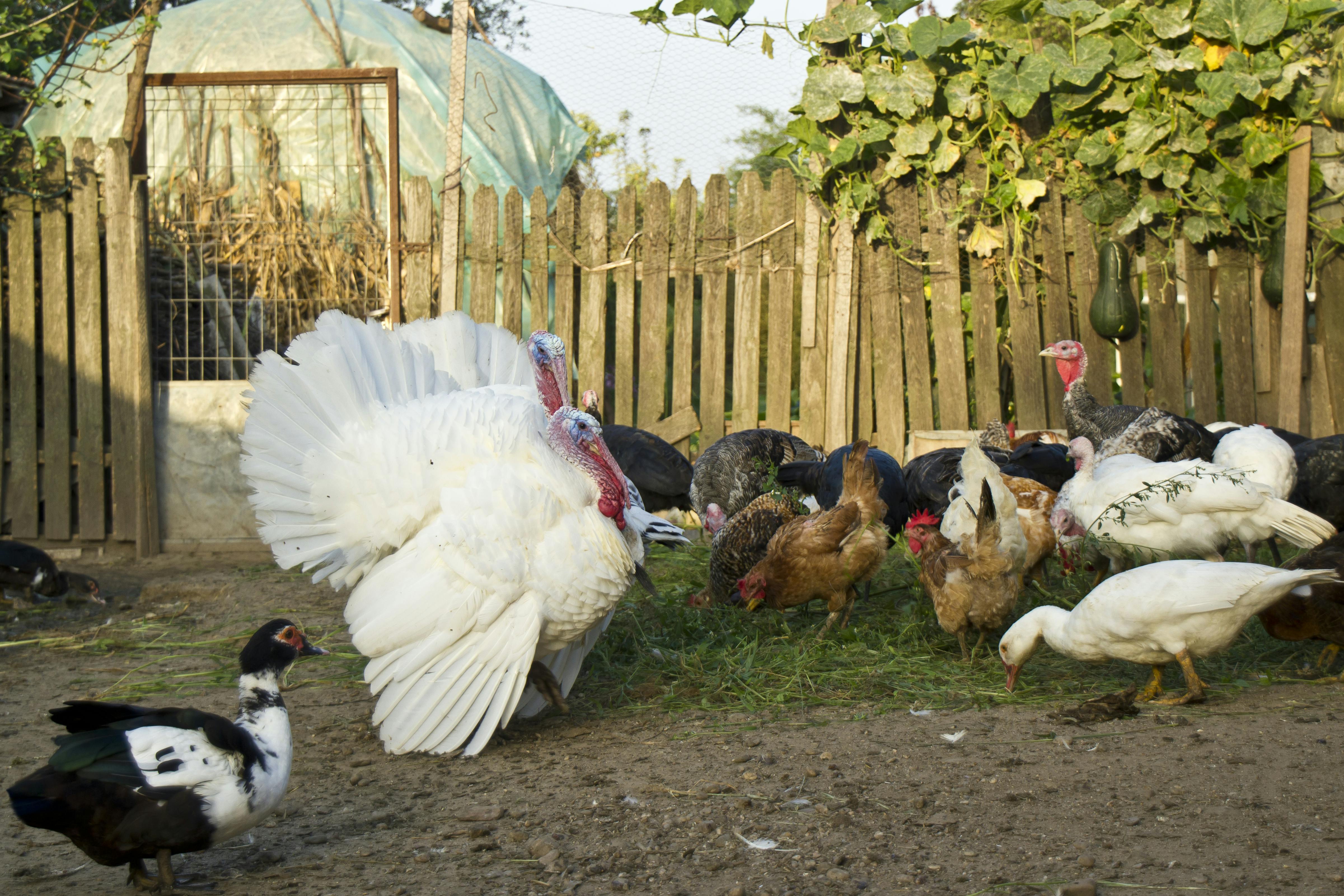 6695386de695fa3925d41bf2 Dreamstime Xxl 59749062