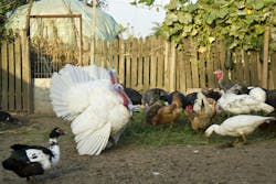 6695386de695fa3925d41bf2 Dreamstime Xxl 59749062 6695386de695fa3925d41bf2 Dreamstime Xxl 59749062