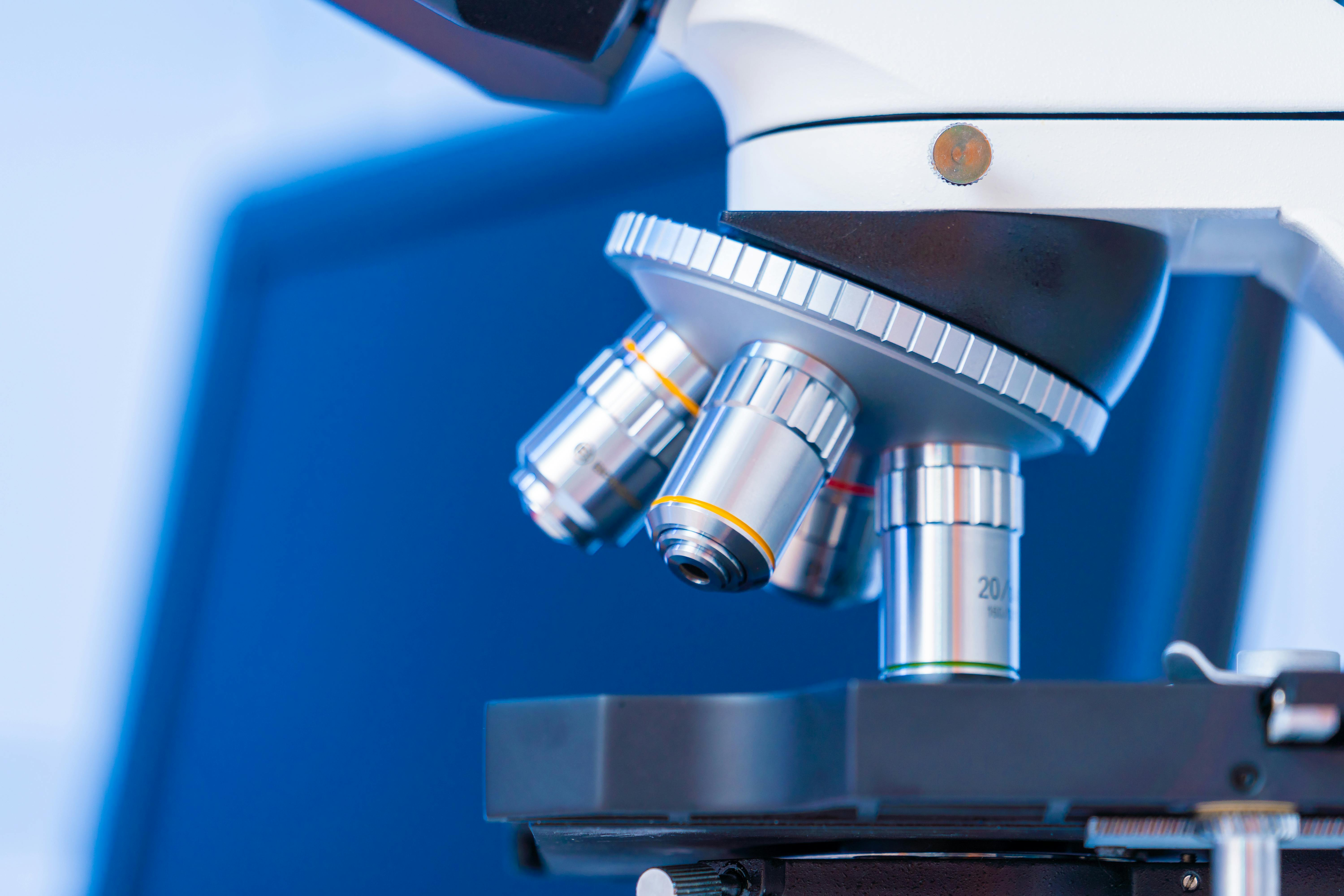 66953bf4674c0312bb579229 Dreamstime Xxl 187144012