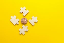 66953d214edf52dd5c000518 Dreamstime Xxl 177583952 66953d214edf52dd5c000518 Dreamstime Xxl 177583952